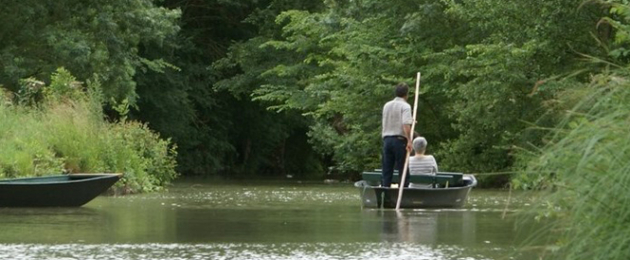 Les Oiseaux du Marais poitevin