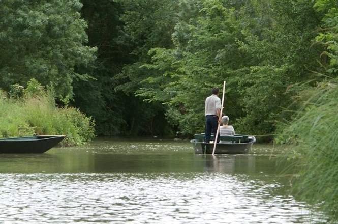 Les Oiseaux du Marais poitevin