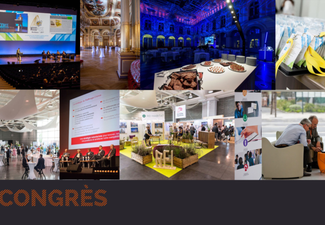 Bordeaux by Terres Basques