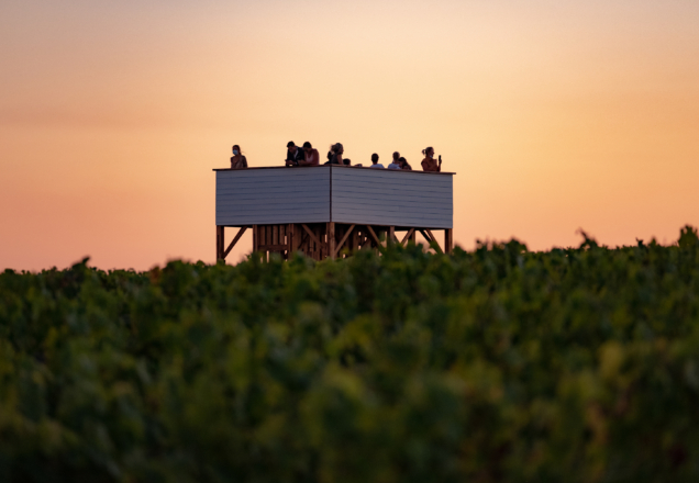 Fred Encuentra - BarbotStudio