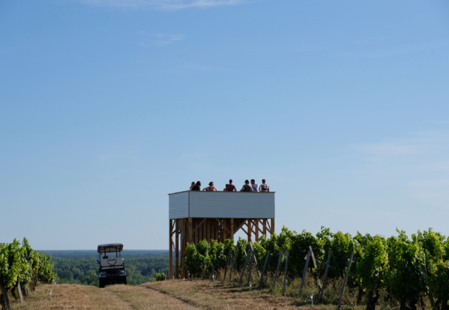 Fred Encuentra - BarbotStudio