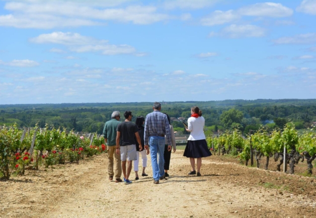 Château de Rayne Vigneau