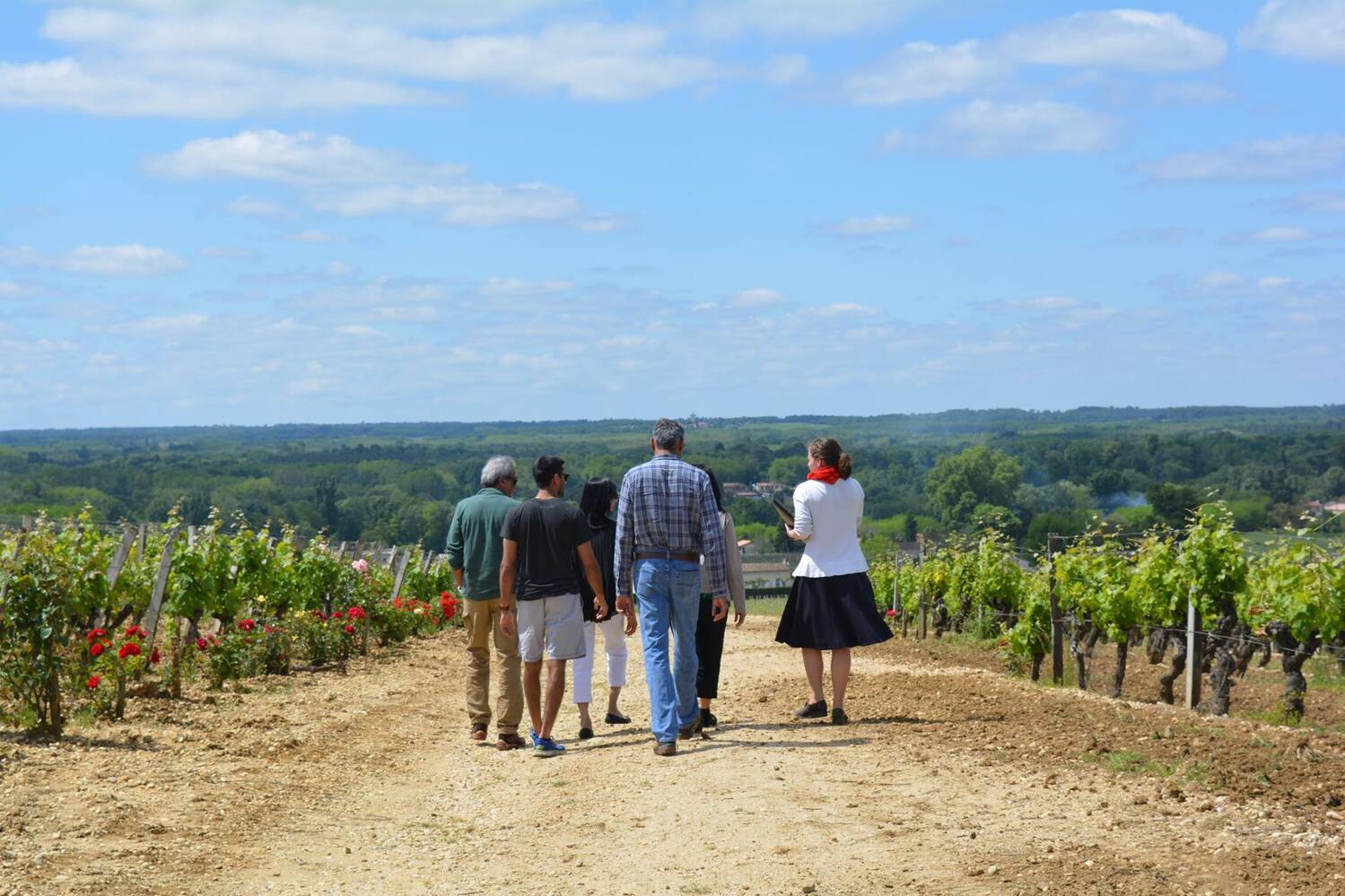 Château de Rayne Vigneau