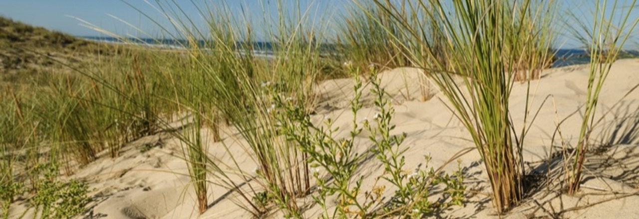 Natura Glisse Picture