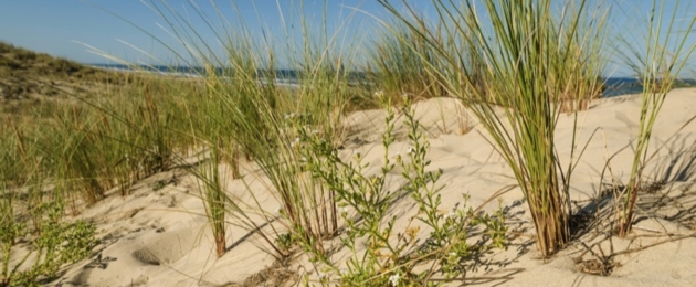 Natura Glisse Picture