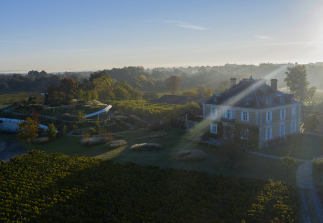 Chateau Haut- Bailly / Florent LARRONDE