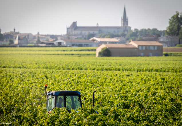 Philippe Labeguerie Photographe