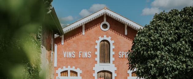 Anne-Elisabeth Jung Fady