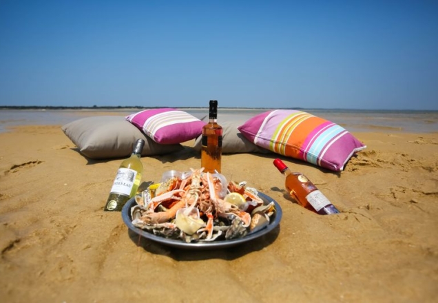 Les Pinasses du Bassin