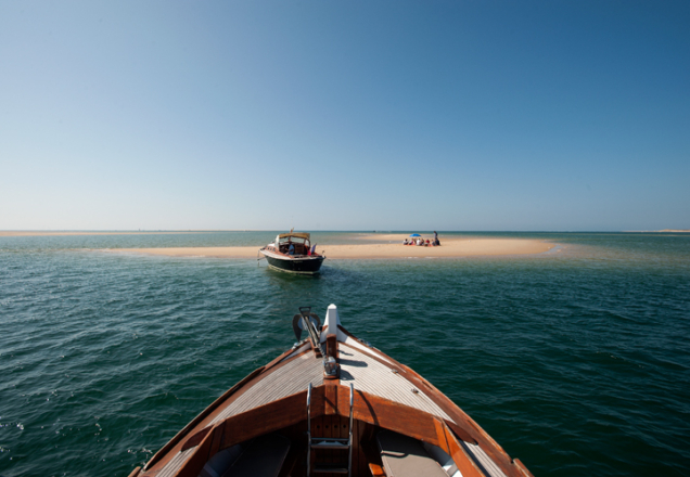 Les pinasses du bassin