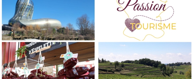 Design sans titre - 1