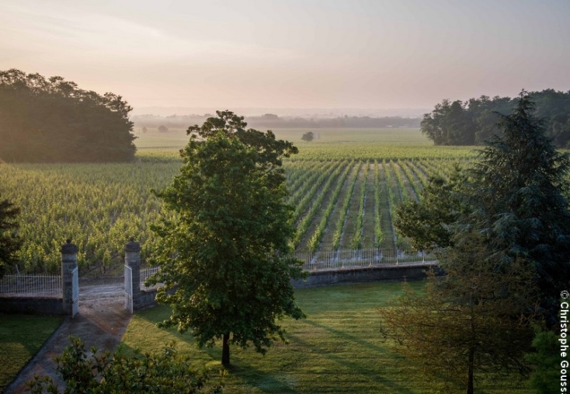 Château Malescasse - Christophe Goussard